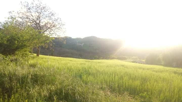Casa Vacanze Campo D'Arco Nocera Umbra Luaran gambar